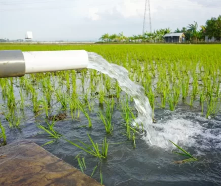 Water Dowsing in South East London